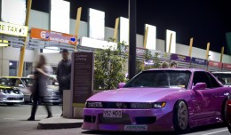 s13