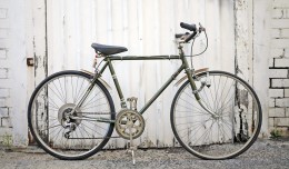 1970s_fuji_feather