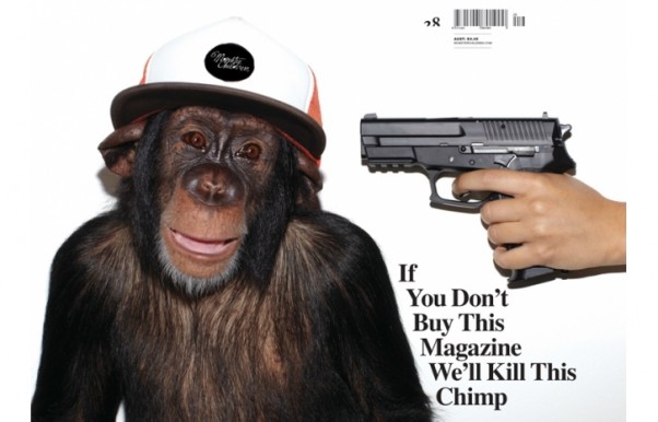 show-mcmonkey show-mcmonkey
