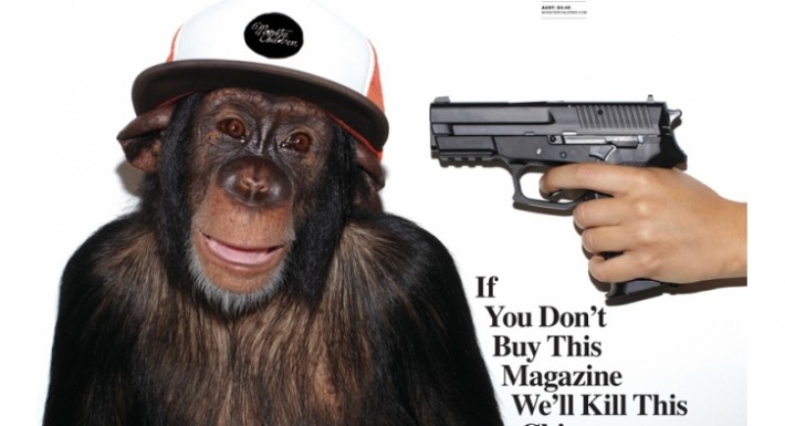 show-mcmonkey