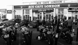 acecafe