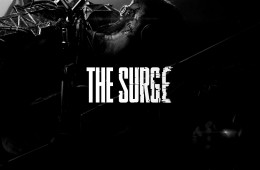 thesurge