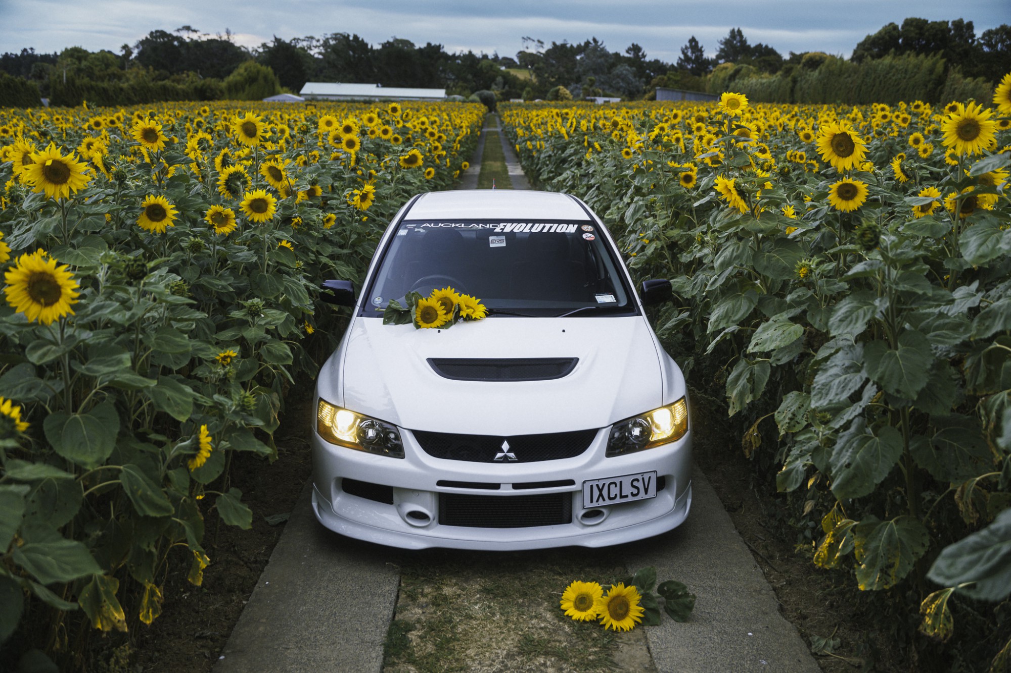 Mitsubishi EVO IX MR RS, Steph 21-01-2025(Web)-14